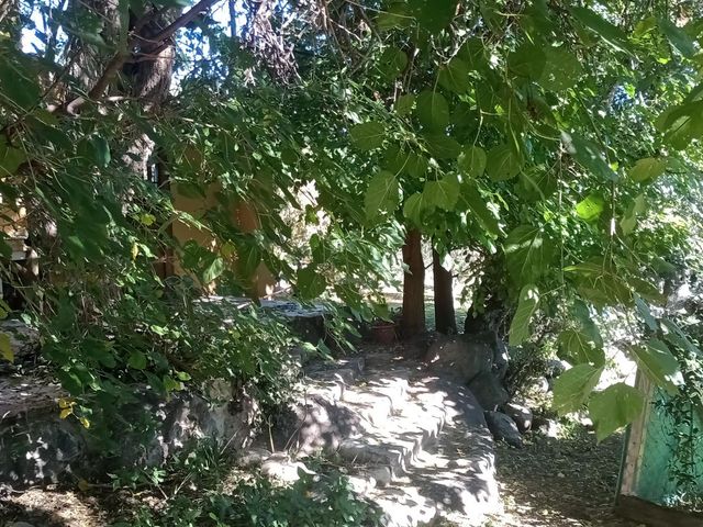 place photo 50