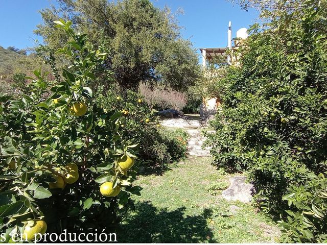 place photo 37