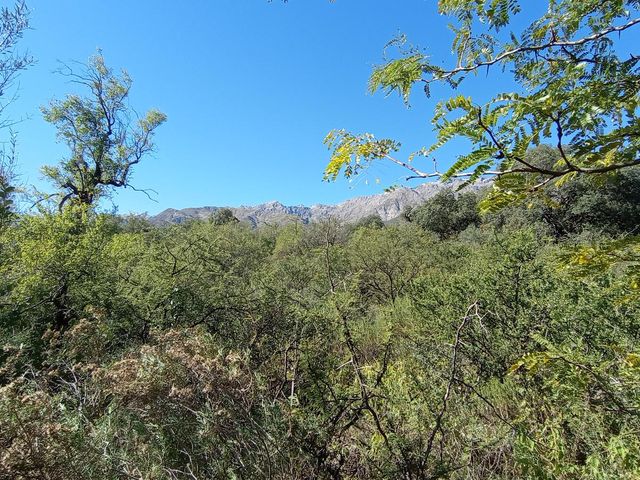 place photo 73