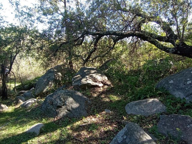 place photo 78