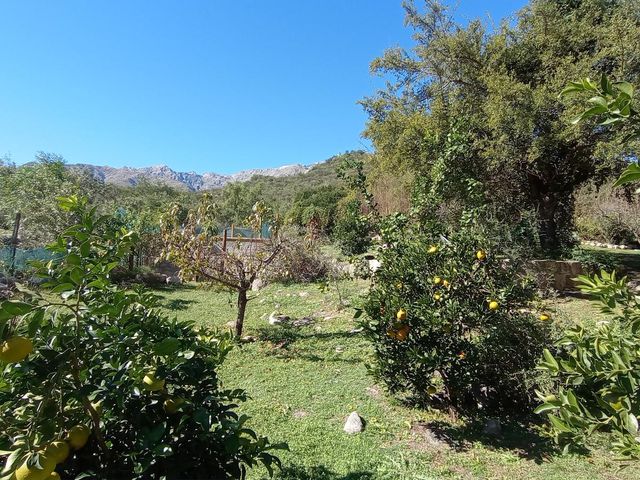 place photo 51