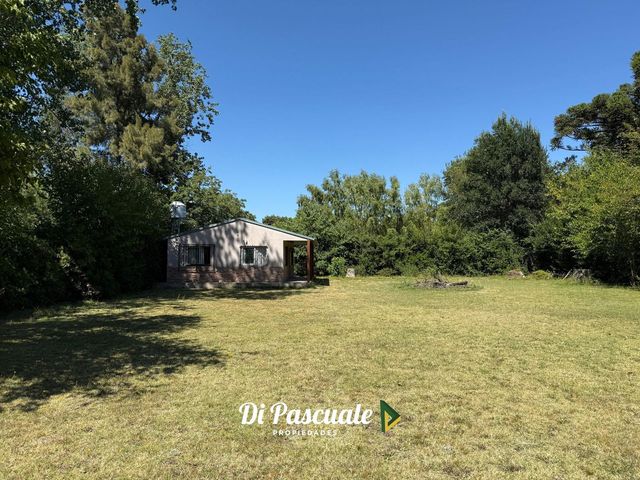 place photo 46
