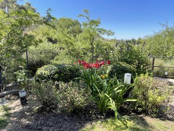 place photo 37