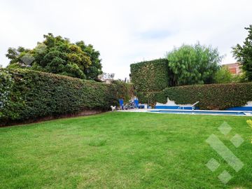 place photo 47