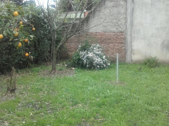 place photo 8