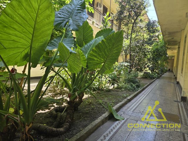 place photo 38