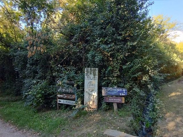 place photo 41