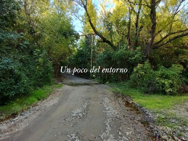 place photo 38