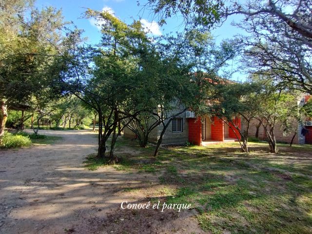 place photo 24