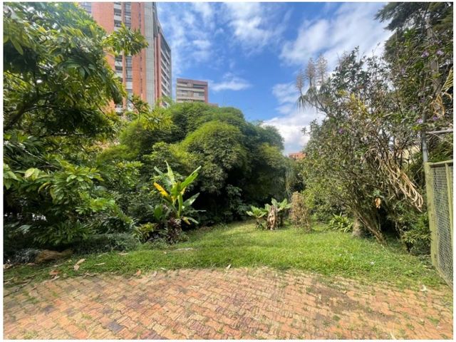 place photo 32
