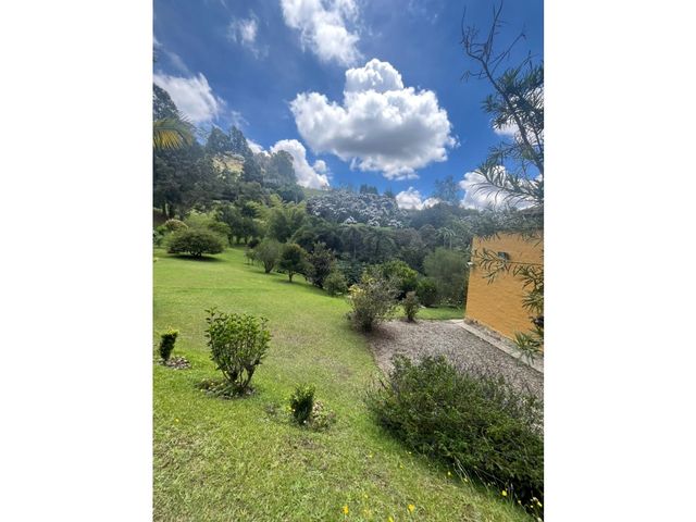 place photo 66