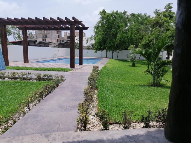place photo 49