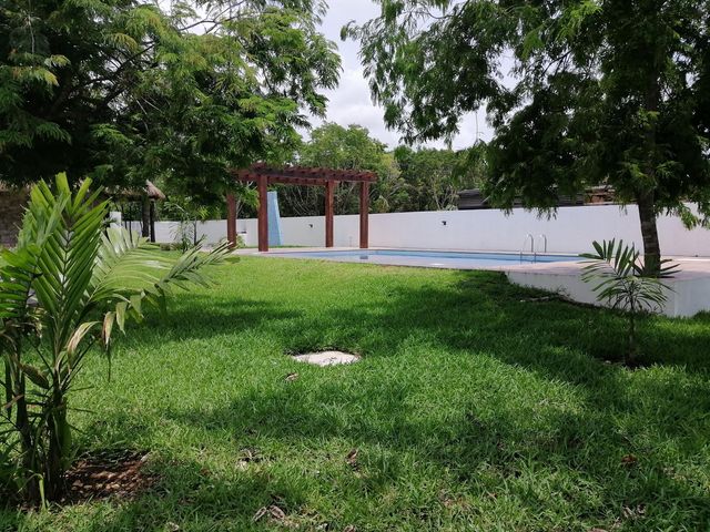 place photo 50
