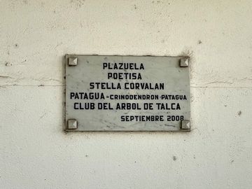 place photo 13