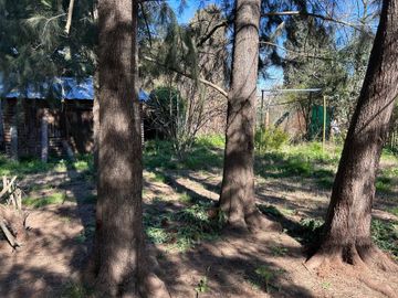 place photo 33