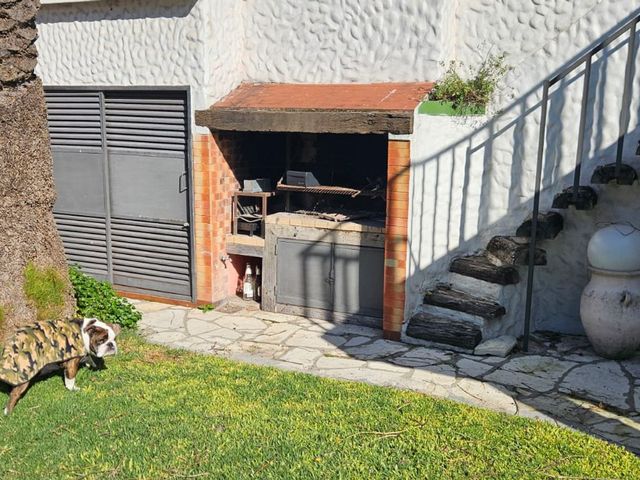 place photo 50