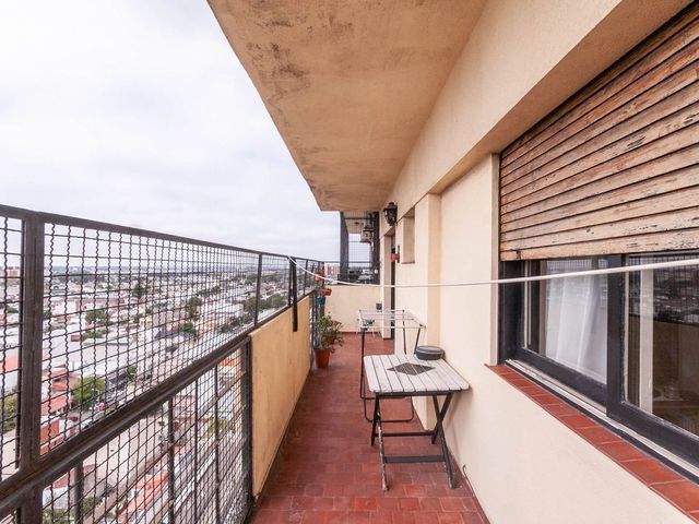 place photo 42