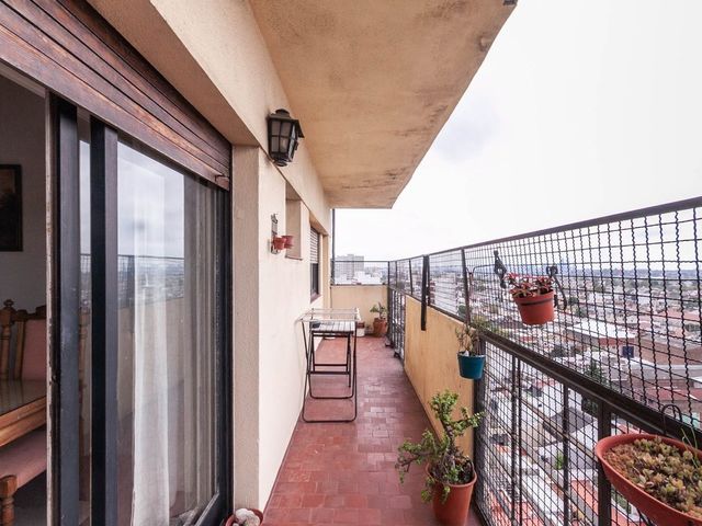 place photo 44