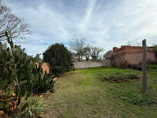 place photo 15