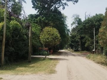 place photo 24