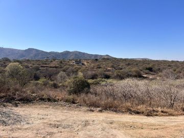 place photo 49