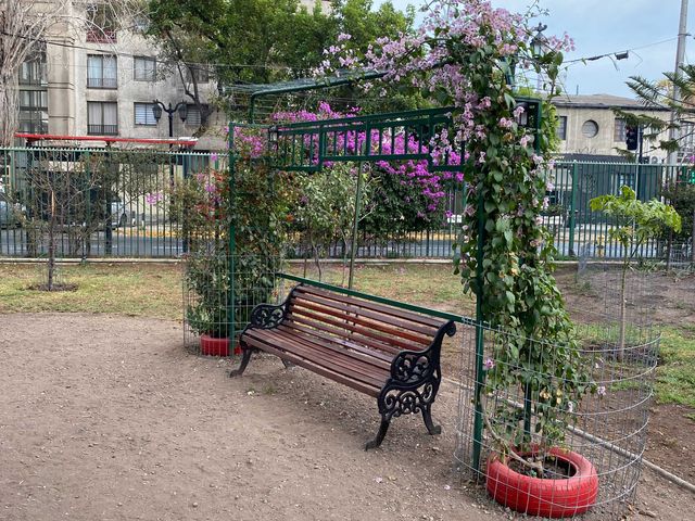 place photo 12