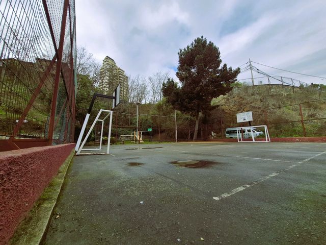 place photo 21
