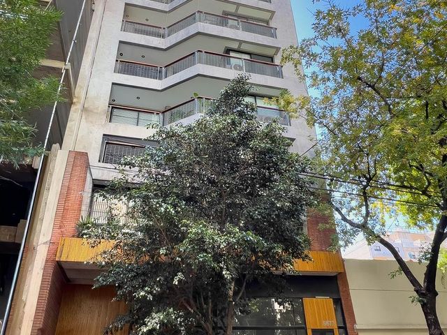 place photo 12