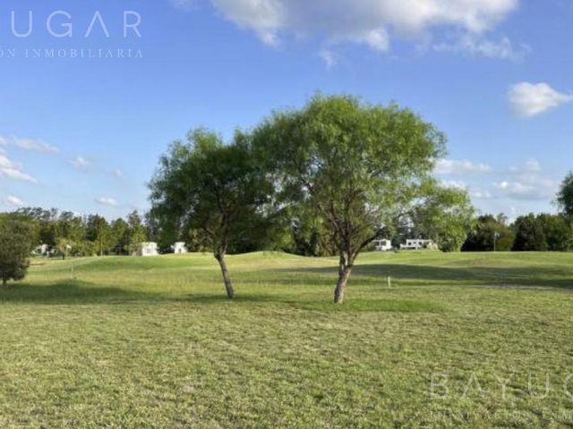 place photo 33