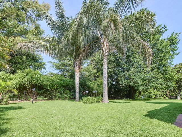 place photo 56