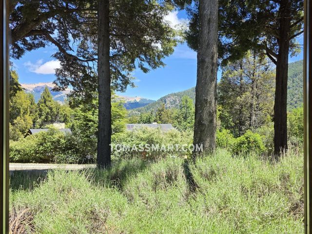 place photo 27