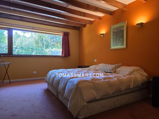 place photo 41