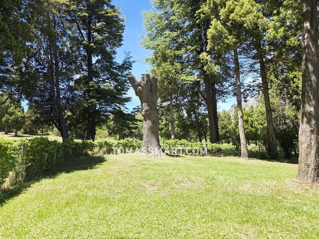place photo 82