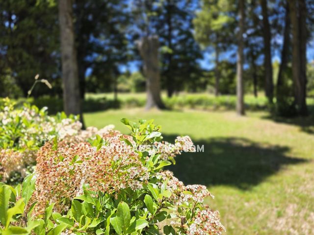 place photo 88