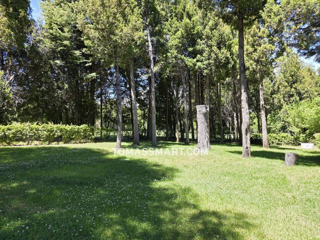 place photo 85