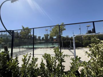 place photo 34