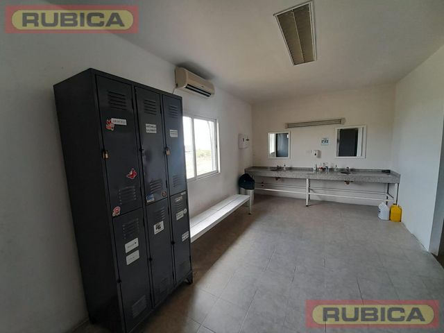place photo 27