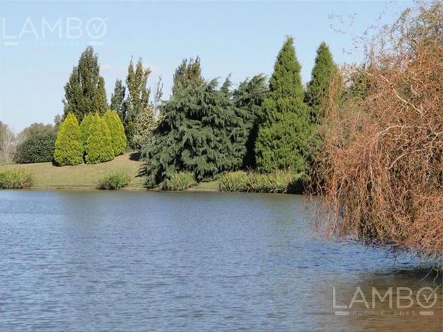 place photo 17