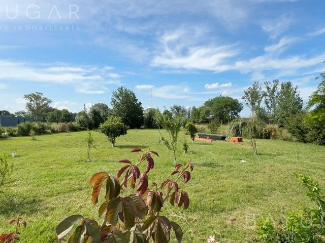place photo 20