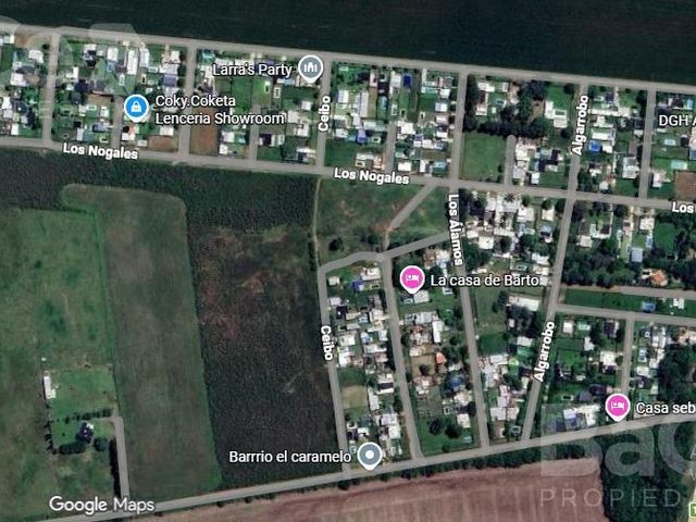 place photo 18