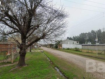 place photo 17