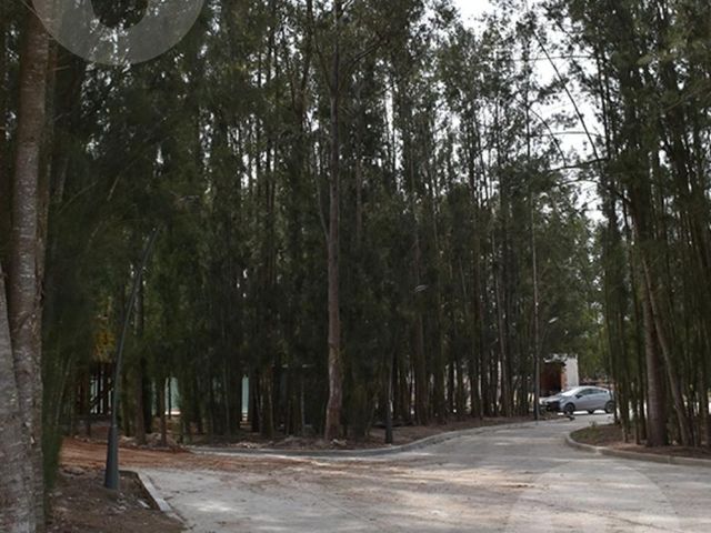 place photo 51