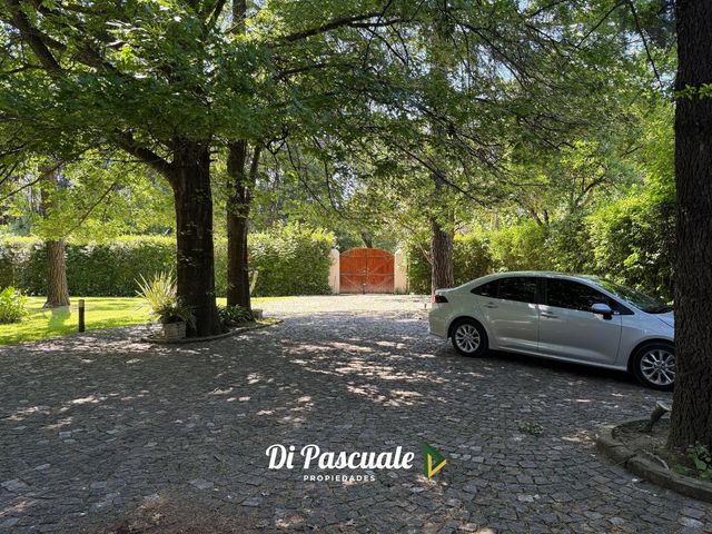 place photo 69