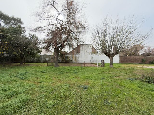 place photo 40