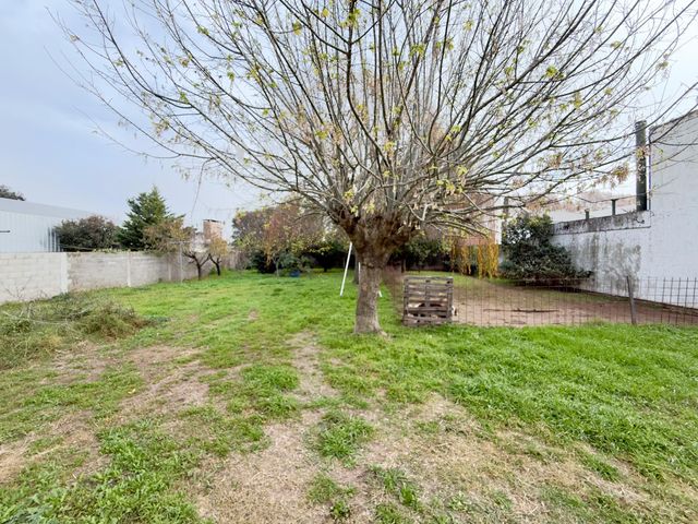 place photo 39