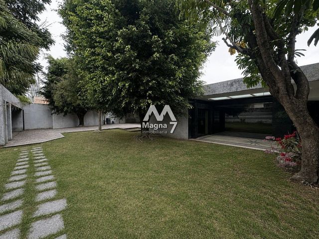 place photo 44