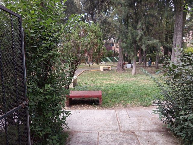 place photo 16