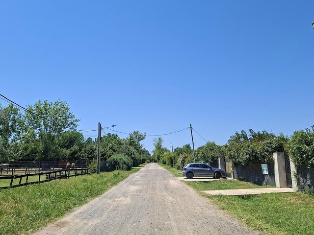 place photo 24