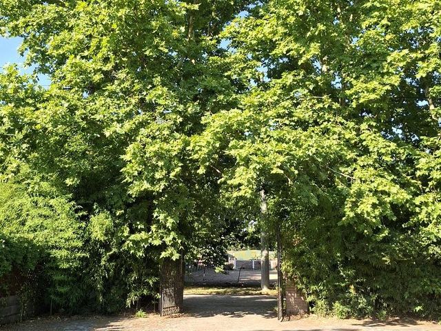 place photo 34