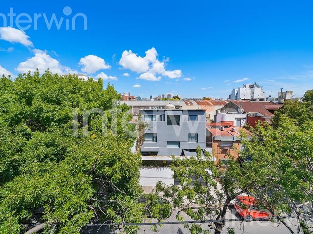 place photo 19